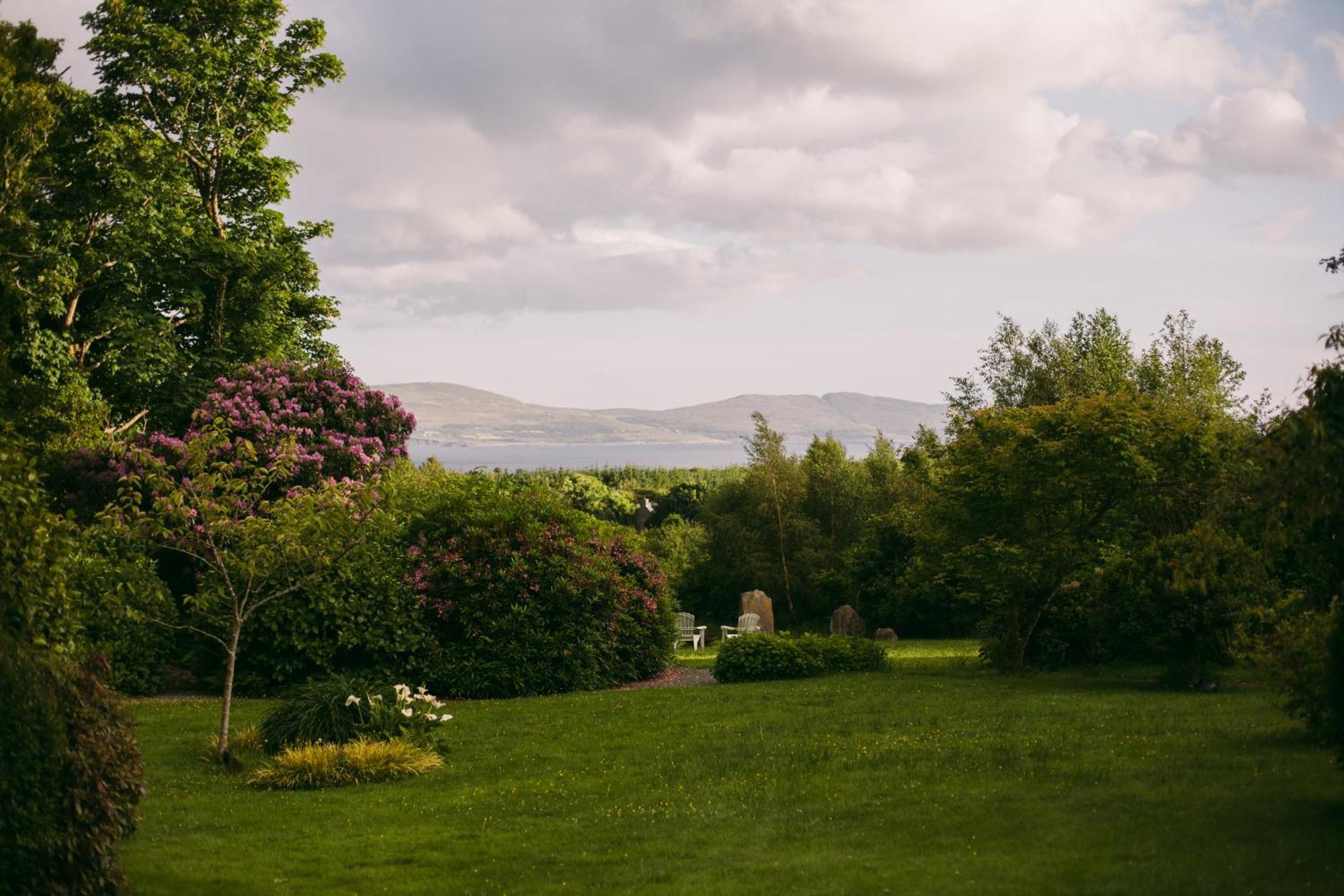 Mossie'S Bed & Breakfast Adrigole Bagian luar foto